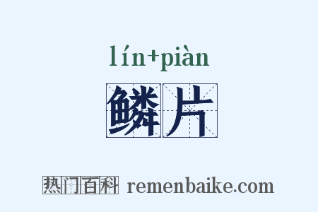 鳞片是什么意思的图片
